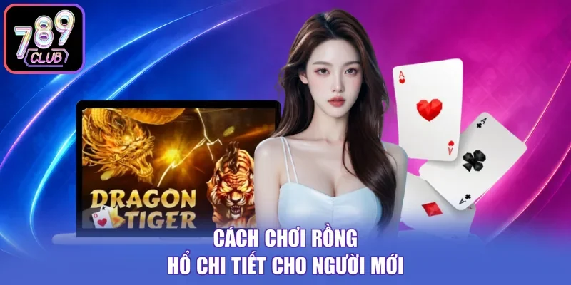 Cách chơi Rồng Hổ chi tiết cho người mới