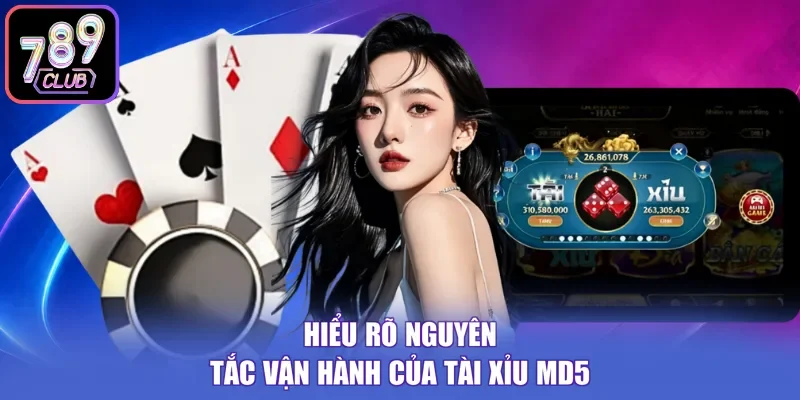 Hiểu rõ nguyên tắc vận hành của tài xỉu MD5