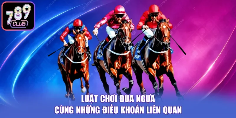 Luật chơi đua ngựa cùng những điều khoản liên quan