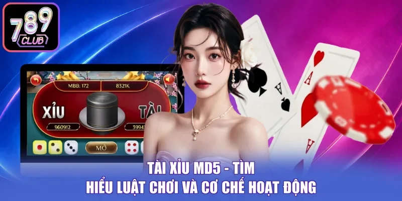 Tài Xỉu MD5 - Tìm Hiểu Luật Chơi Và Cơ Chế Hoạt Động